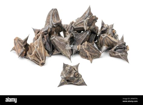 Water caltrop Cut Out Stock Images & Pictures - Alamy