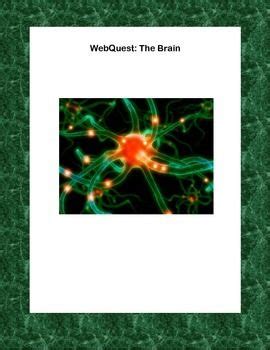 Human Brain Webquest Anatomy Webquest Science Teaching Resources