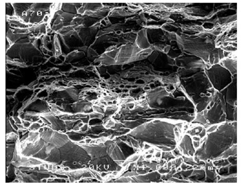 Overview Of Intergranular Fracture Of Neutron Irradiated Austenitic