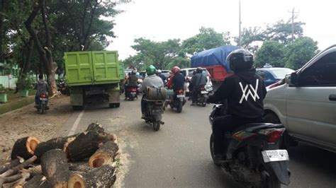 Hati Hati Melintas Di Jl Perintis Kemerdekaan Makassar Ada Penebangan