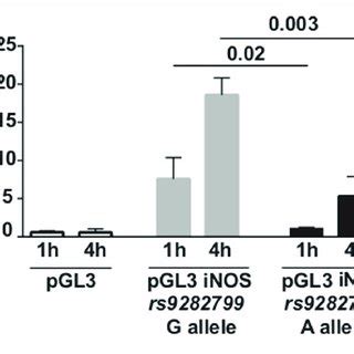 Functional Impact Of INOS Rs9282799 Polymorphism On Promoter