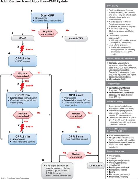 Important Algorithms First10em