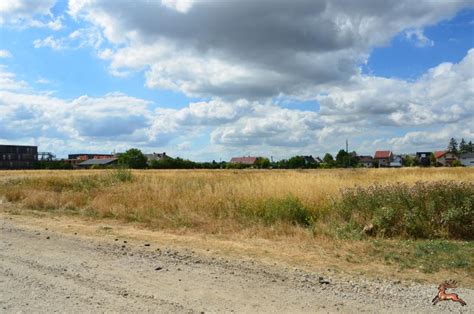 Podhagskygasse Campo Breitenlee Spatenstich Geschichte Von