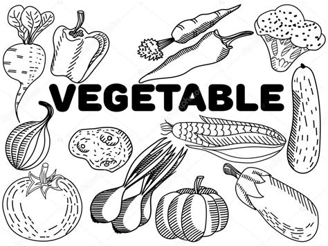 Vectores De Vegetales Para Colorear Para Adultos Vector De Stock