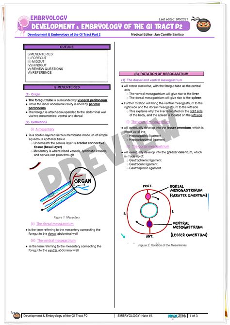 Development And Embryology Of The Gi Tract Part 2 Notes Ninjanerd