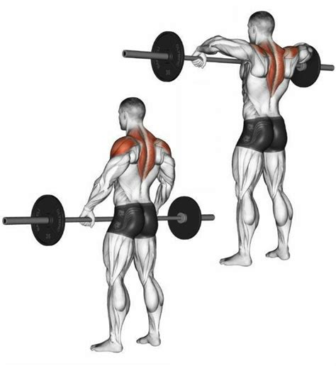 Barbell Front Raise Twist Artofit