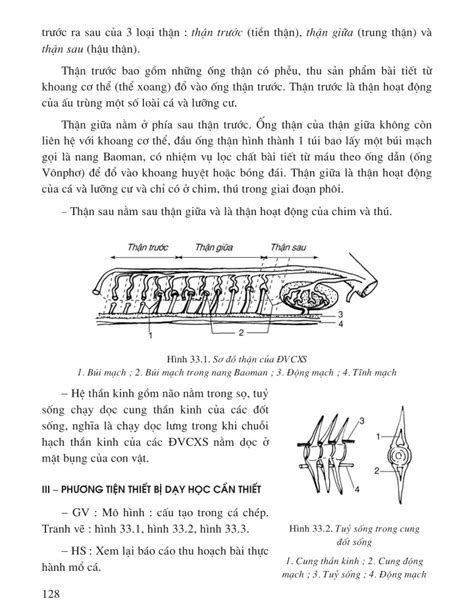 Sgv Scan Bài 33 Cấu Tạo Trong Của Cá Chép Sách Giáo Viên Học