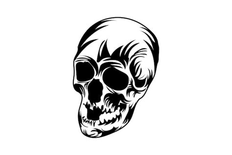 Premium Vector Vintage Human Skull Premium Vector