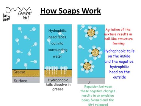 10 Examples Of Chemistry In Everyday Life Studiousguy