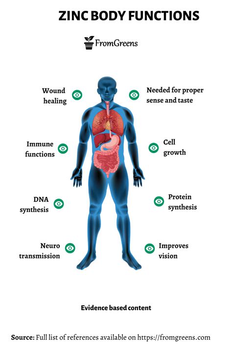 Zinc Health Benefits - Evidence Based Content