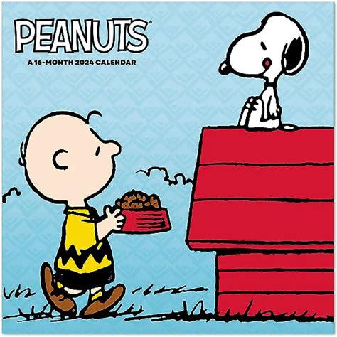 Peanuts Wall Calendar Amazon Leia Shauna