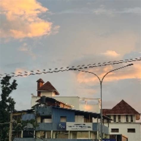 Srilankan Gay Boy Cumming Amateur Amateur Porn Feat Big Penis Show Cumming XHamster