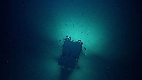 Sea Urchins Wearing Hats Seen On Ocean Floor Video Shows Fort