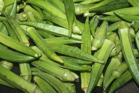 Okra Seeds Agroduka Limited