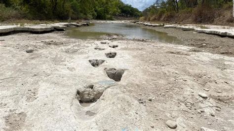 Sequía en EU deja al descubierto huellas de dinosaurio en cauce de río