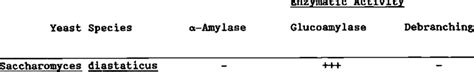 Production Of Amylolytic Enzymes By Several Yeast Species Download Table