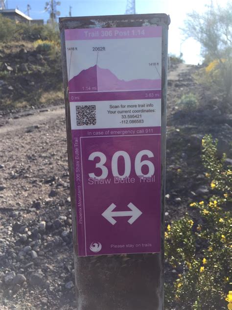 Trail #100 Photos