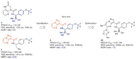 Discovery Of A Novel Series Of Pyrazolo 1 5 A Pyrimidine Based