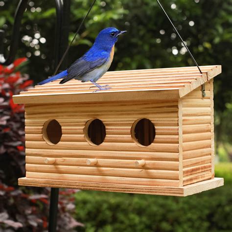 10 Best Finch Bird Houses for Your Feathered Friends - Hummingbirds Plus