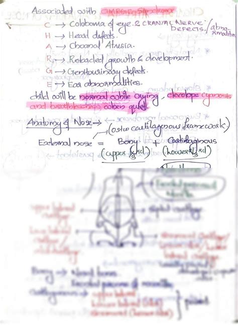 Solution Choanal Atresia And Anatomy Of Nose Studypool