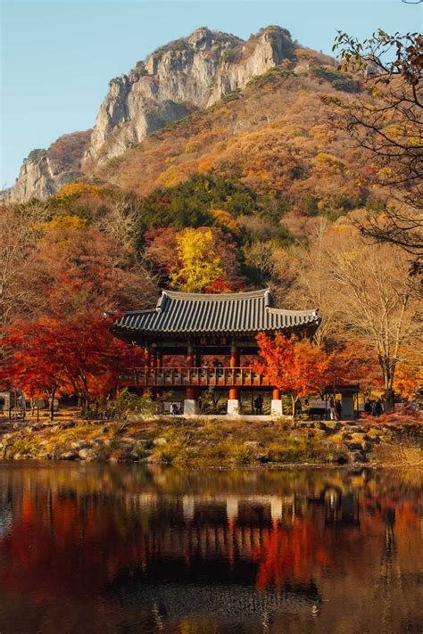 Autumn in korea 7 day road trip itinerary for south korea – Artofit