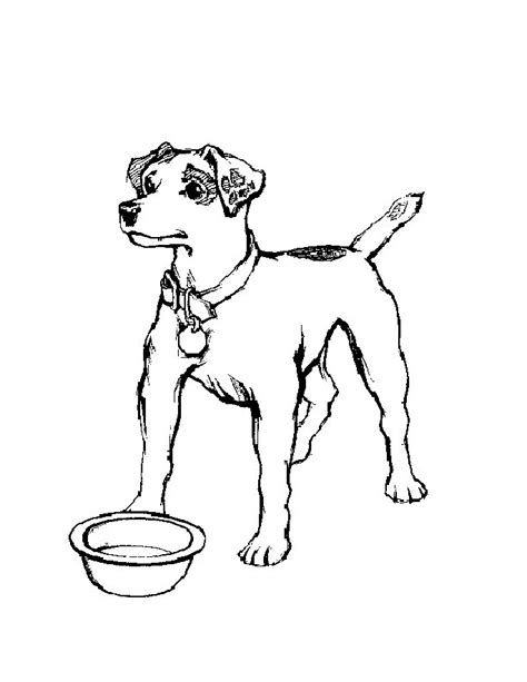 Jack Russell Coloring Pages - Best Coloring Pages For Kids