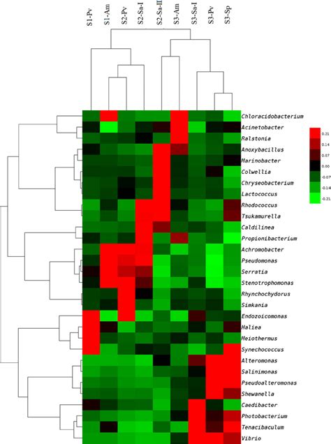 Heat Map Showing The Relative Abundances And Distributions Of Download Scientific Diagram