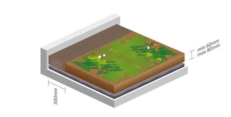 Tipos De Cubiertas Verdes SuD Sostenible