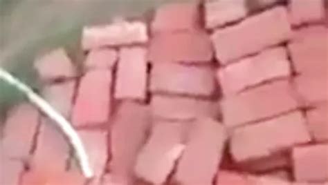 Hot Desi Muslim Girlfriend Fucking In Bus Desi Girl Fucking In Bus Hot Nudity Sex XHamster
