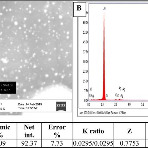 SEM Image And EDX Analysis Of Green Silver Nanoparticles Synthesized