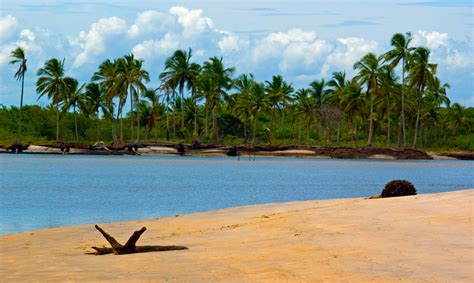 Tudo Sobre O Munic Pio De Canavieiras Estado Da Bahia Cidades Do