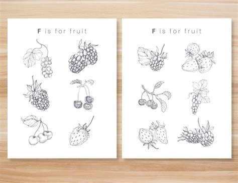 Fruit Coloring Sheet - Etsy