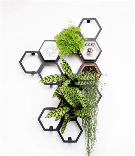 Green Wall, Modular Geometric Design with Houseplants