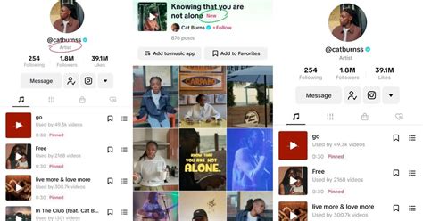 Tiktok Crea Cuentas Específicas Para Artistas Con Herramientas Para