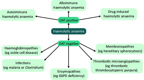 Some Examples Of Direct Antiglobulin Test Positive And Direct