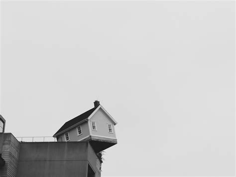 Humane technology will soon change every wild animal removal 4