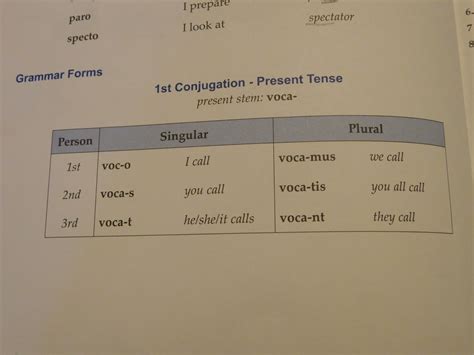 Tots And Me Growing Up Together Learning Latin With Latina