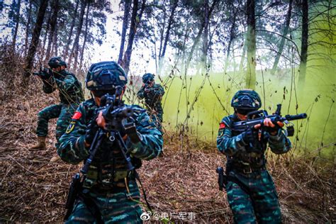 场面超燃！直击武警云南总队怒江支队特战队员山林地捕歼战斗演练央广网