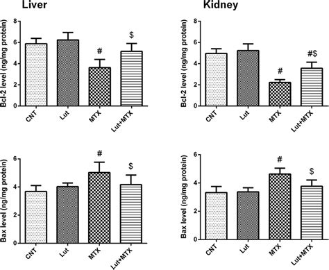 The apoptotic markers in both hepatic and renal tissues. The protein ...