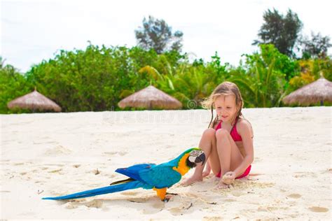 Menina Adorável Na Praia Papagaio Colorido Imagem de Stock Imagem