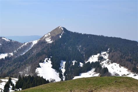 Album photo Crêt de Chalam 1540m en boucle par le Crêt du Nerbier