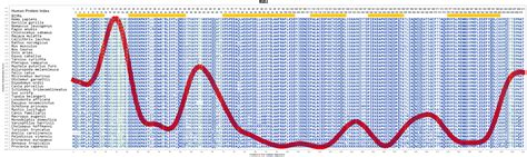 RGS2 Gene - GeneCards | RGS2 Protein | RGS2 Antibody