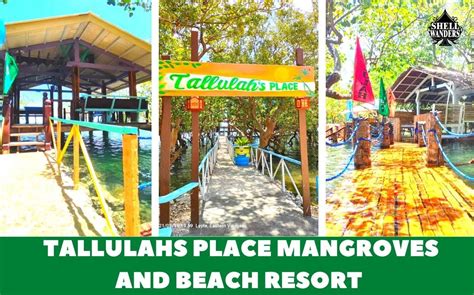 tallulahs place mangroves  beach resort shellwanders