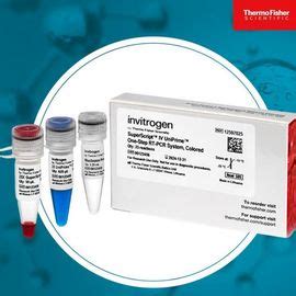 Invitrogen SuperScript IV UniPrime One Step RT PCR System RNA To