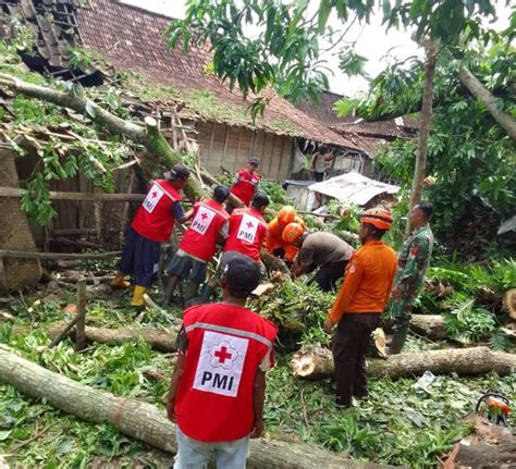 Diterjang Angin Pohon Besar Roboh Menimpa Rumah Di Kedungjati Grobogan