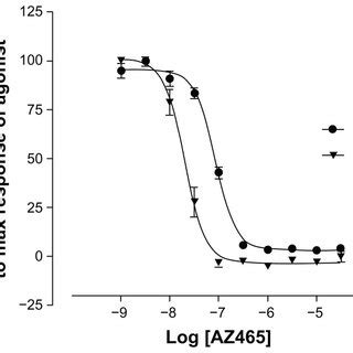 AZ465 Inhibits Cinnamaldehyde Induced TRPA1 Activation In HTRPA1 And