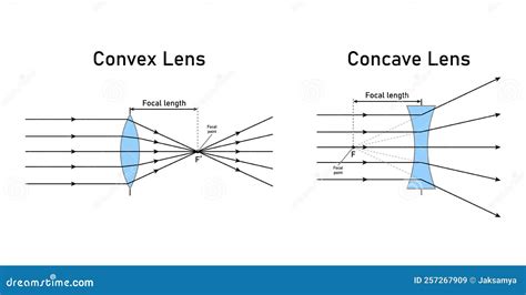 Convex and Concave Lens Schematic Diagram in Optics Physics. Stock ...