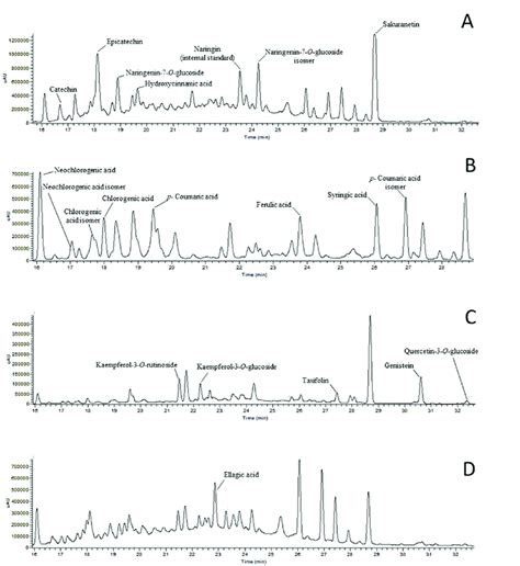 Example Of A Hplc Chromatograms Of Phenols Detected In Sweet Cherry