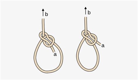 Comparison Of Standard Bowline And Cowboy Bowline Right Ashley Book