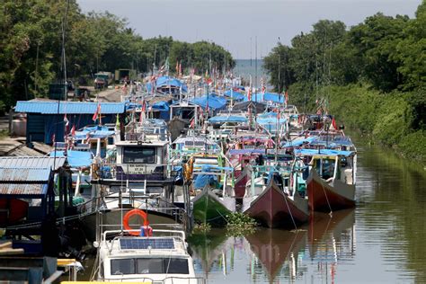 Nilai Produk Perikanan Sepanjang Tahun Ini Menjadi Rp718 Triliun